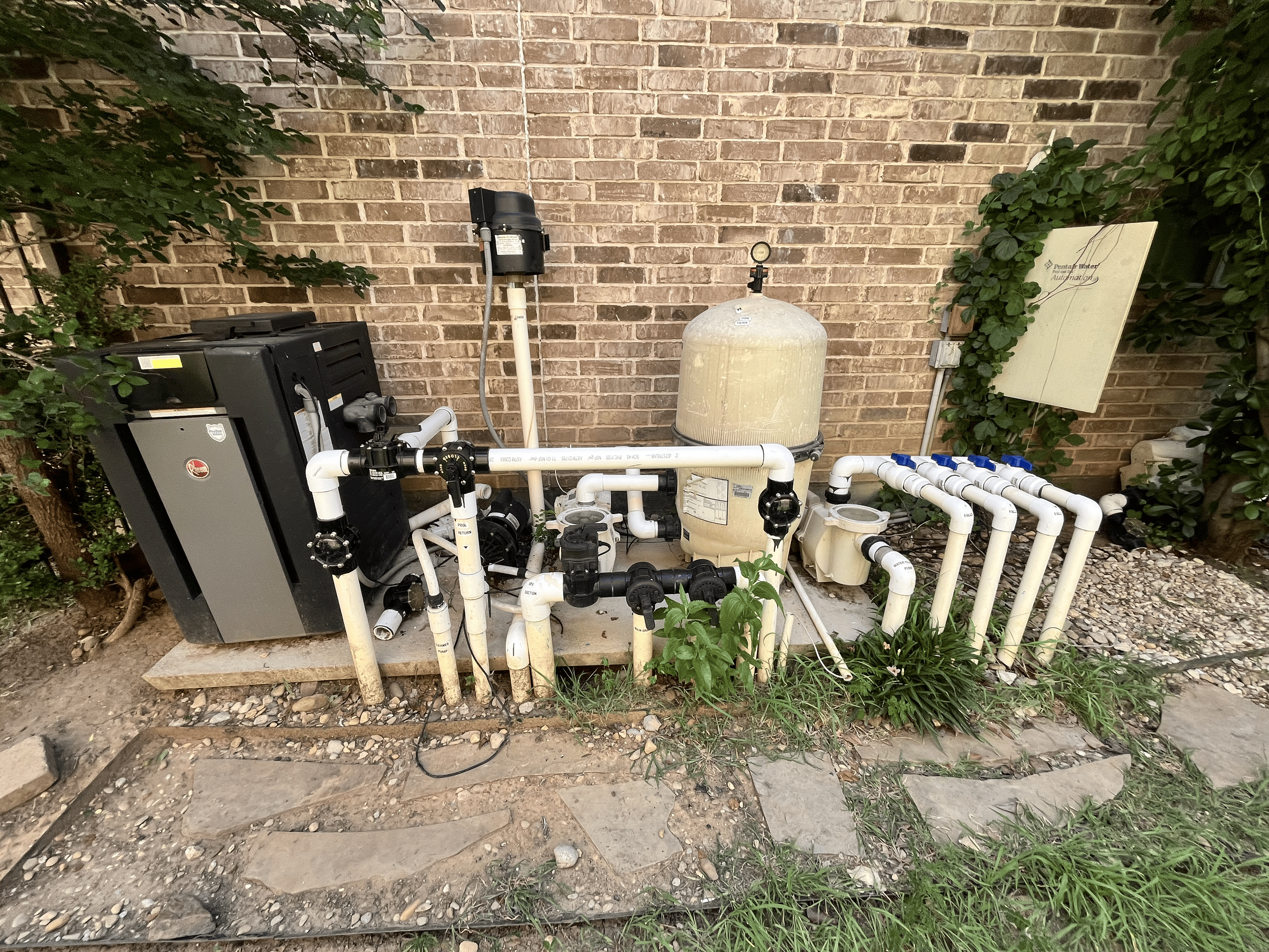 Well-maintained pool and backyard in Arlington