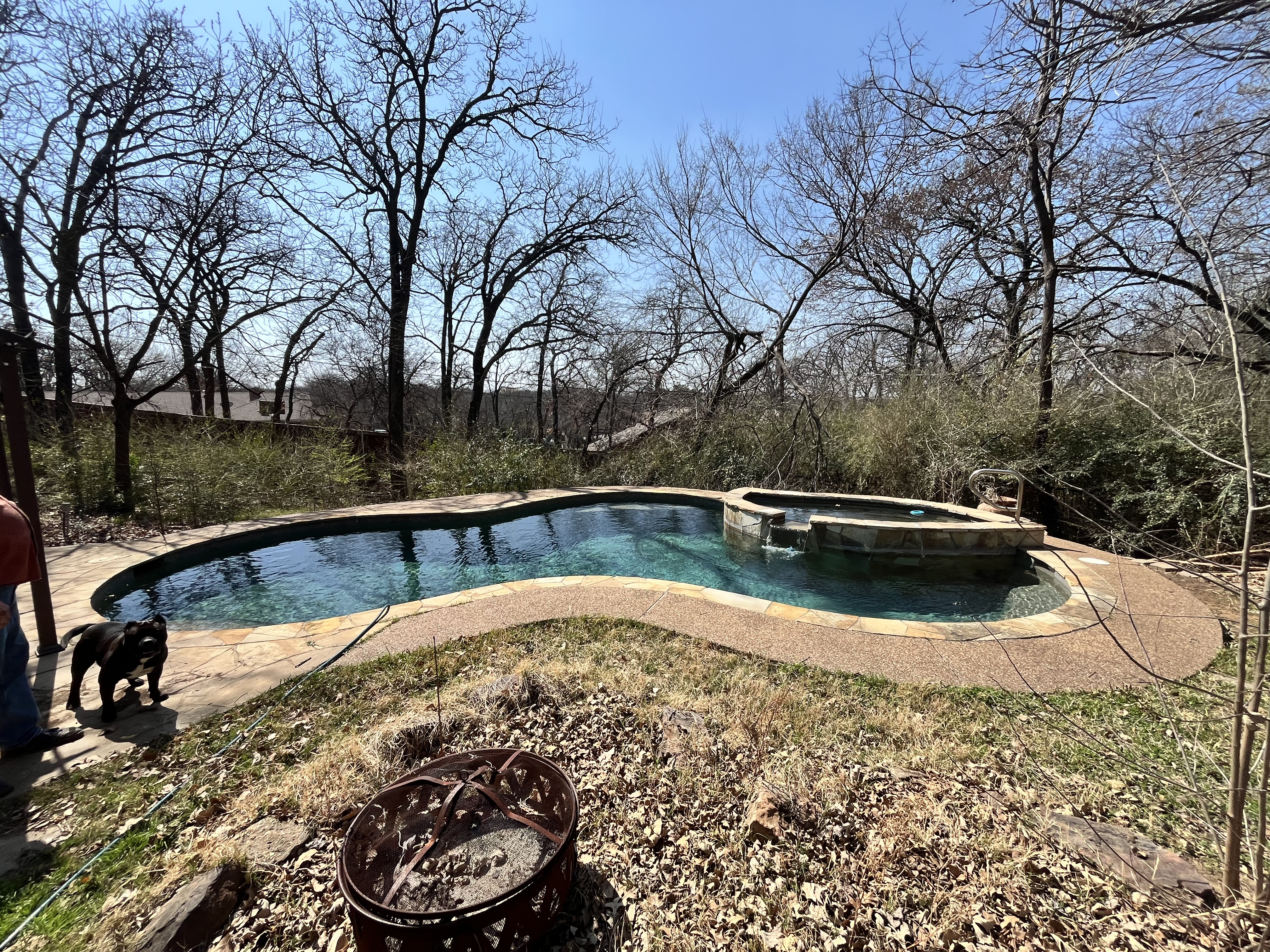 Clear freeform pool with stone spa in Cedar Hill TX maintained with weekly cleaning near Cedar Hill State Park and Joe Pool Lake