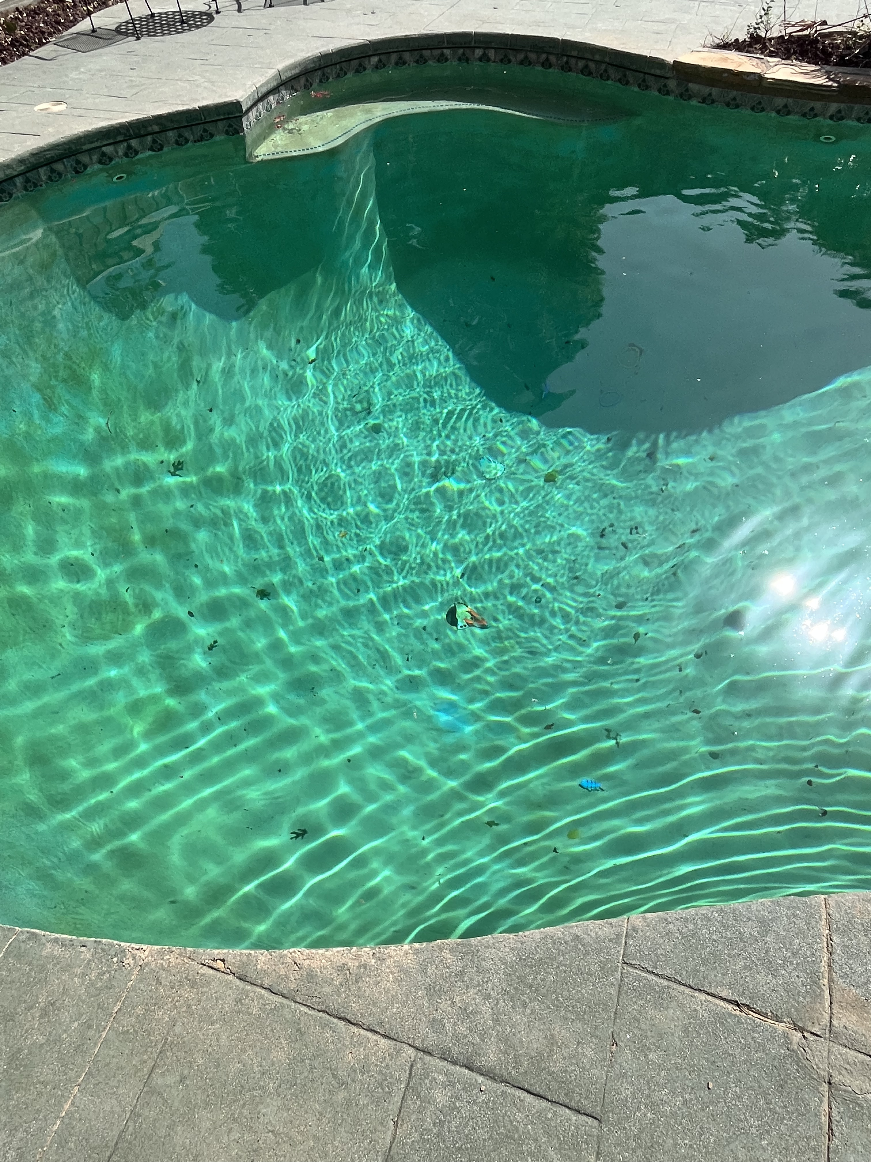 Green to Blue Recovery